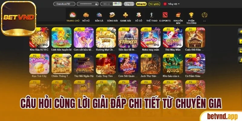 Trải Nghiệm Betvnd Săn Thưởng Cực Chất Ngay Hôm Nay 23 Câu hỏi cùng lời giải đáp chi tiết từ chuyên gia