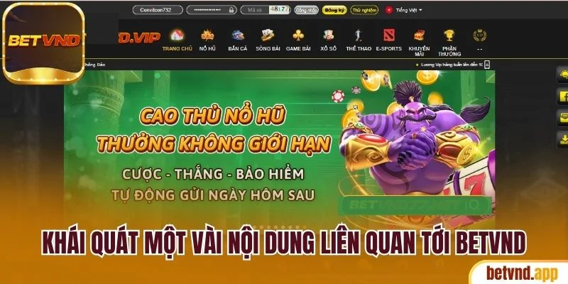Trải Nghiệm Betvnd Săn Thưởng Cực Chất Ngay Hôm Nay 18 Khái quát một vài nội dung liên quan tới Betvnd