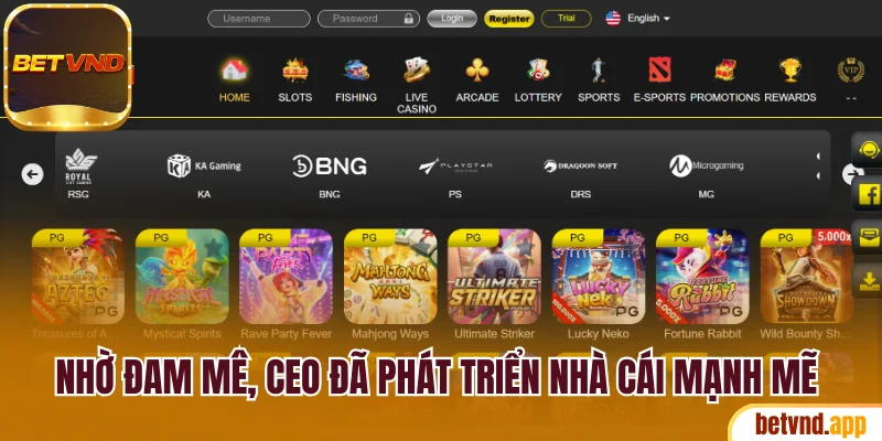 Nhờ đam mê, CEO đã phát triển nhà cái mạnh mẽ như hiện tại