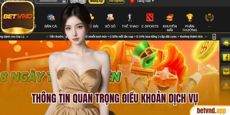 Nội dung quan trọng cần biết về điều khoản dịch vụ