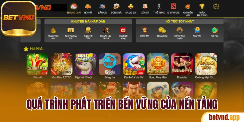 Quá trình phát triển bền vững của nền tảng