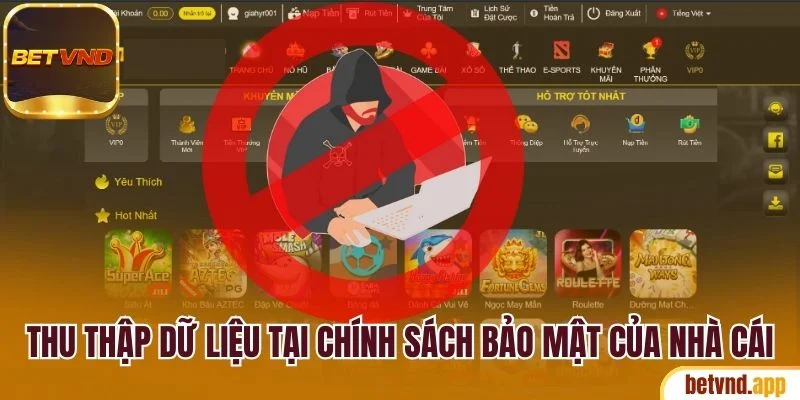 Thu thập dữ liệu tại chính sách bảo mật của nhà cái
