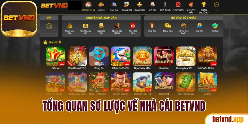 Tổng quan sơ lược về nhà cái Betvnd
